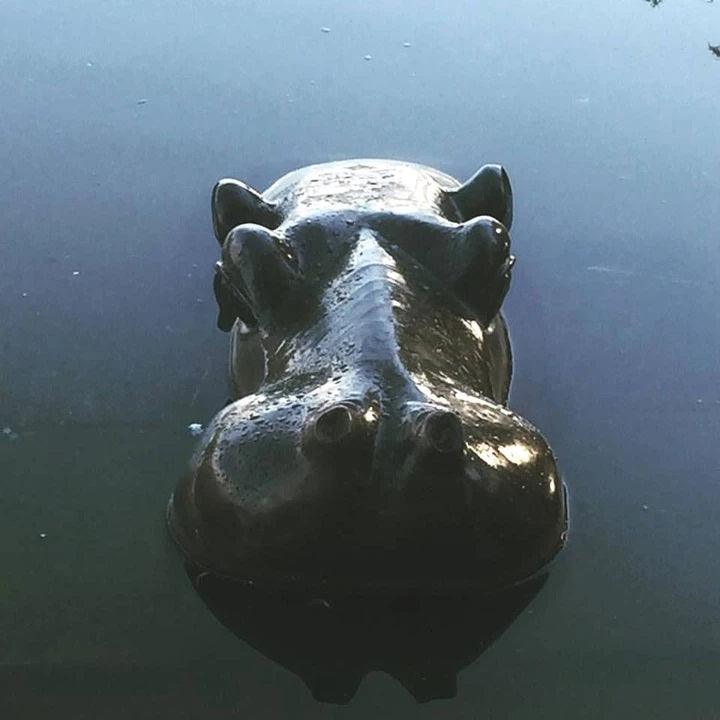 New Stone Sculpture Has Finally Surfaced