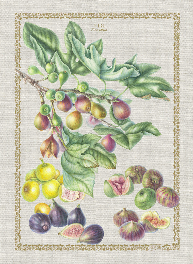 Sue Wickison Tea Towels