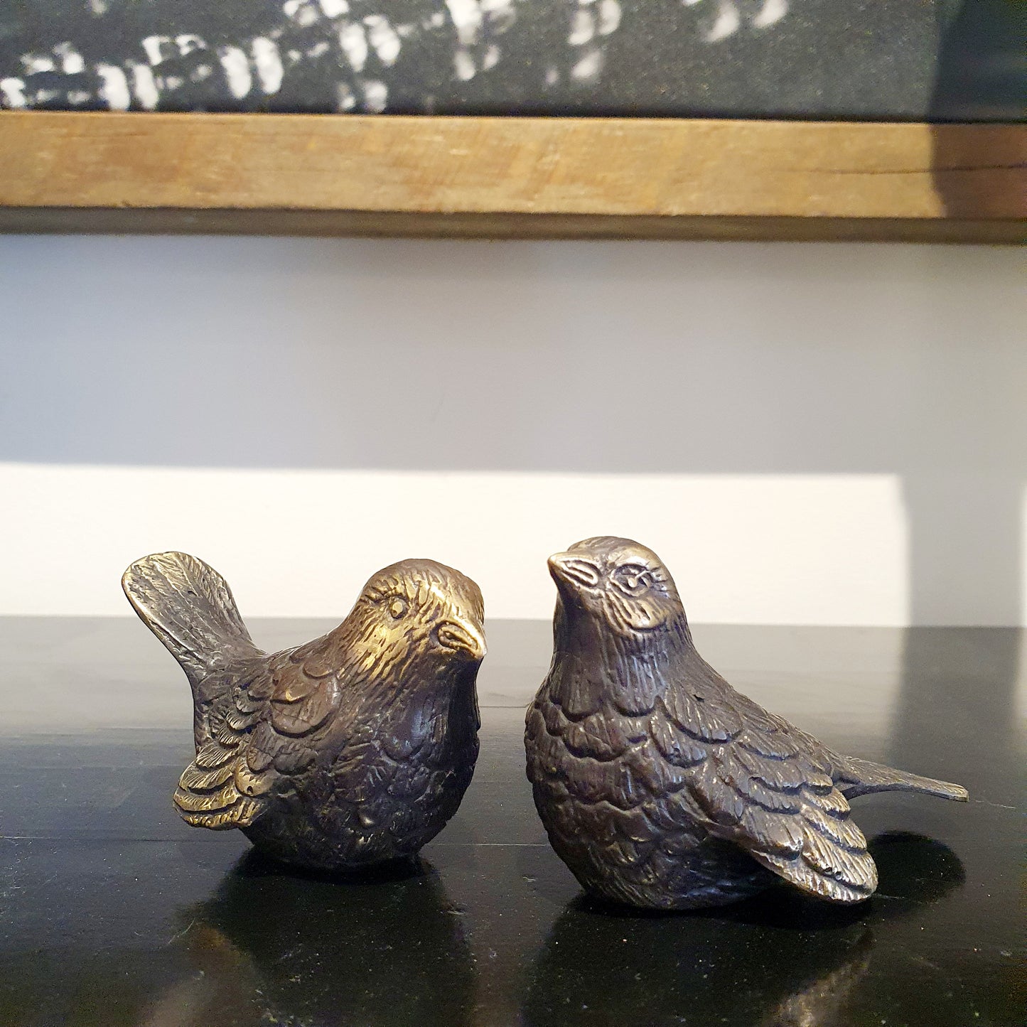 Fantails