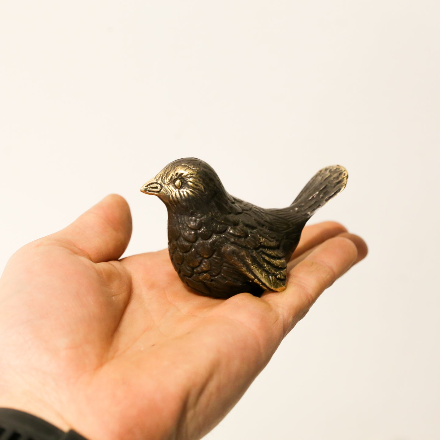 Fantails
