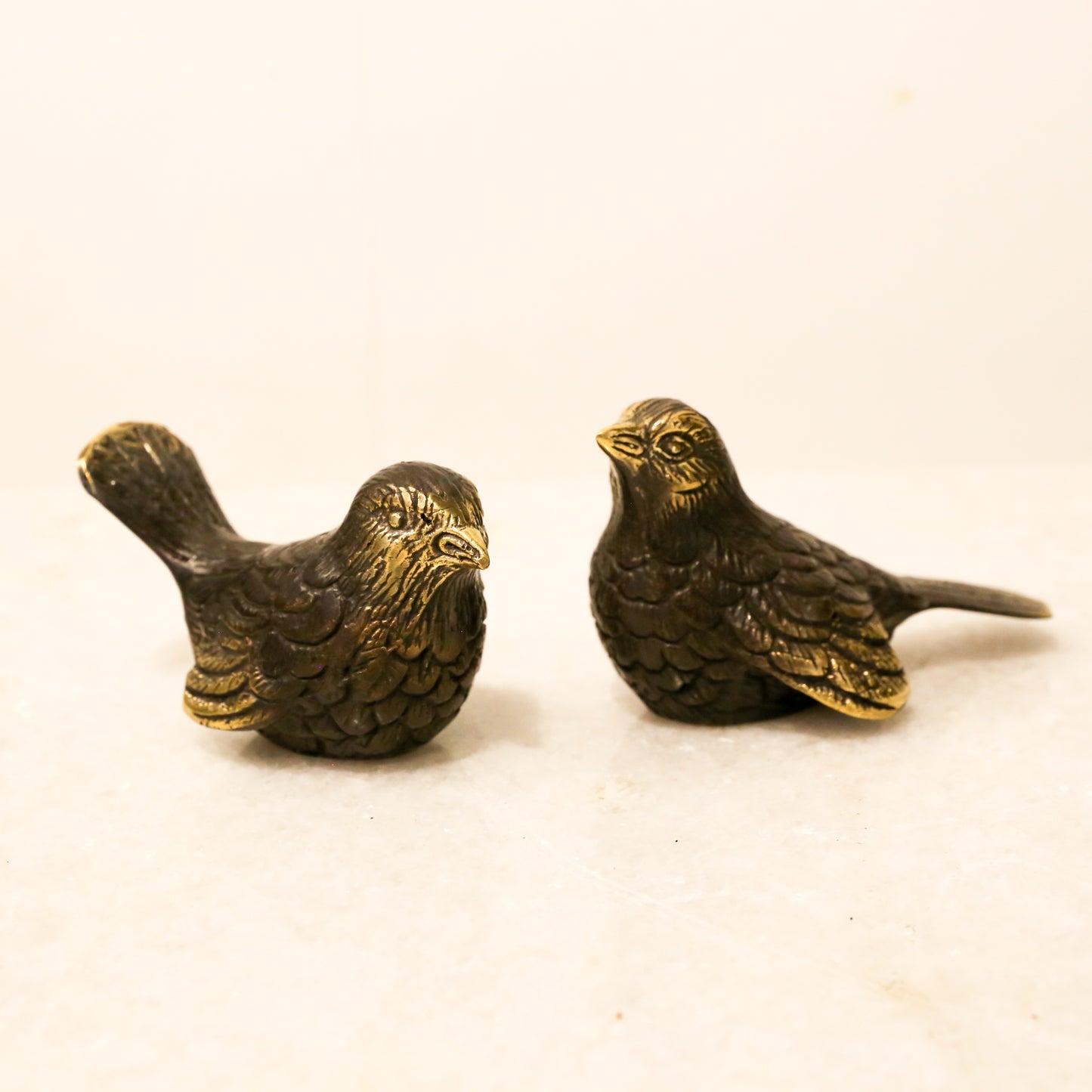 Fantails