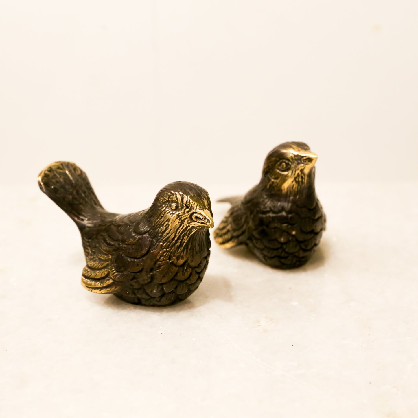 Fantails