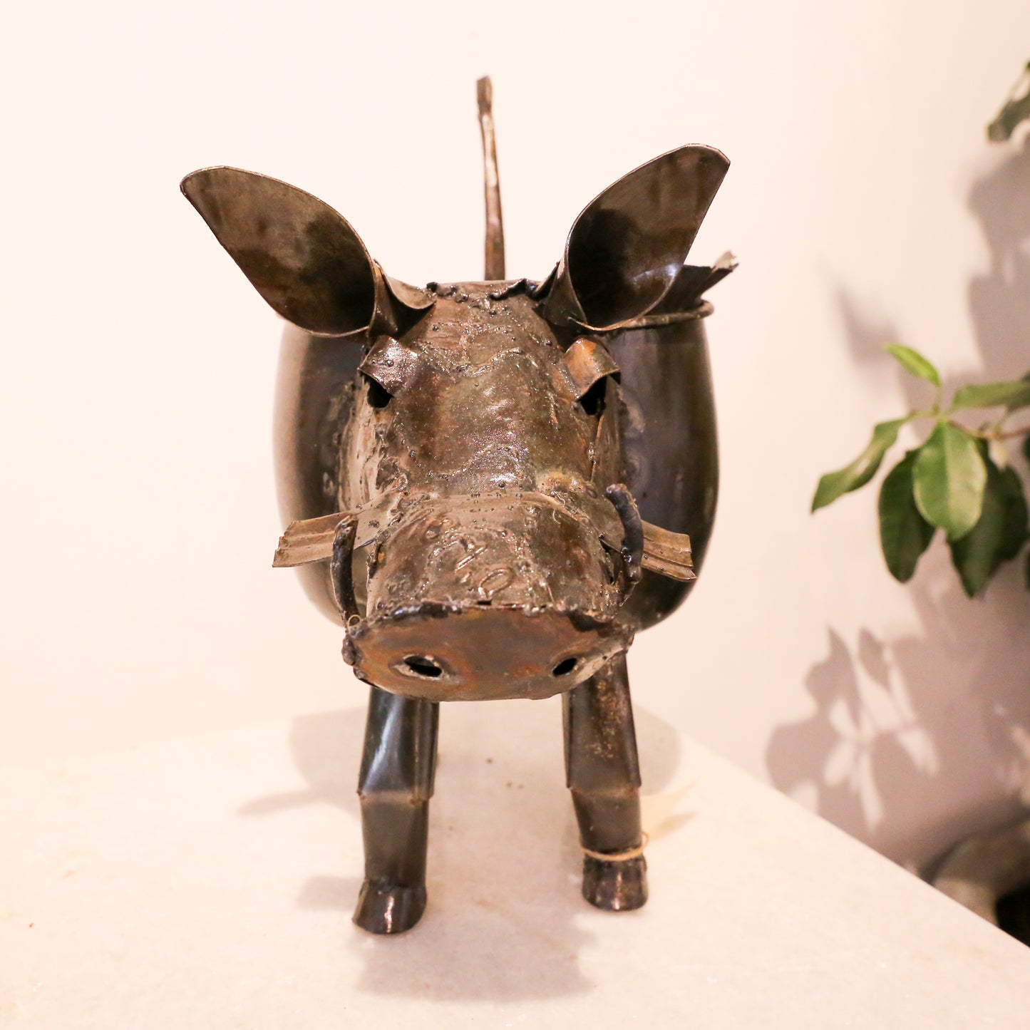 Warthog Plant Pot