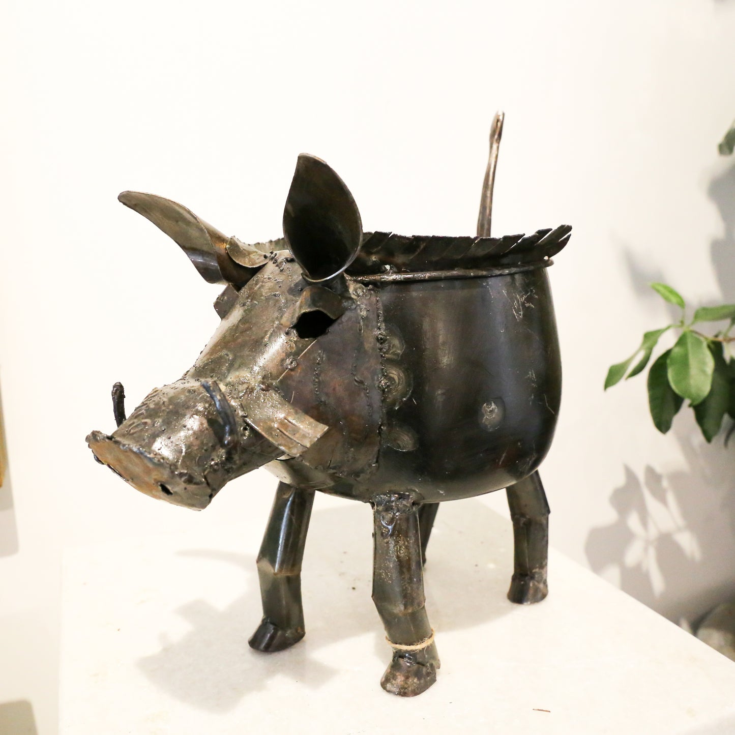 Warthog Plant Pot