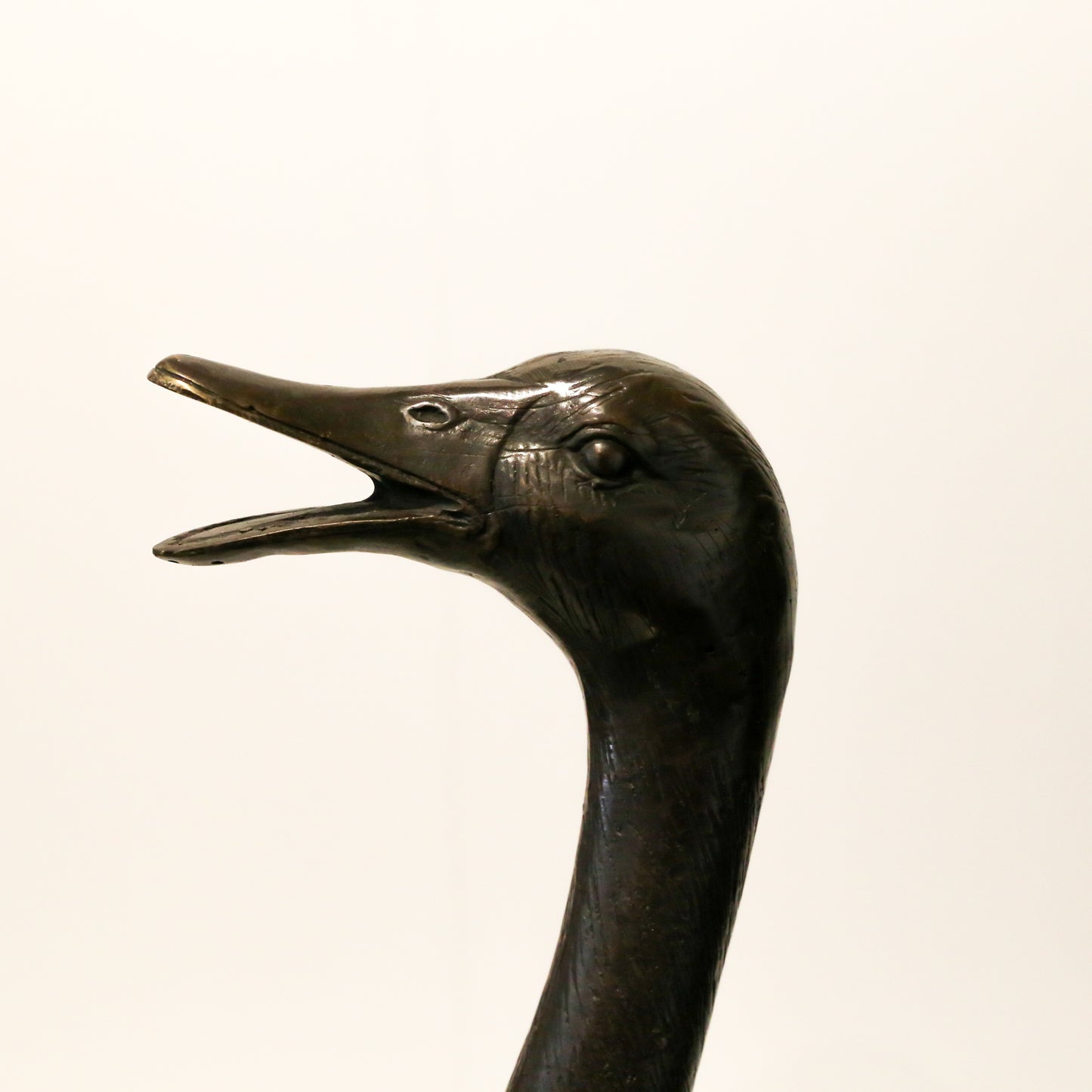 Bronze Duck