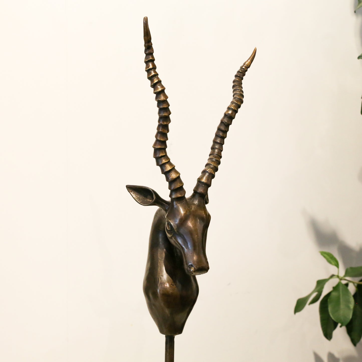 Bronze Antelope