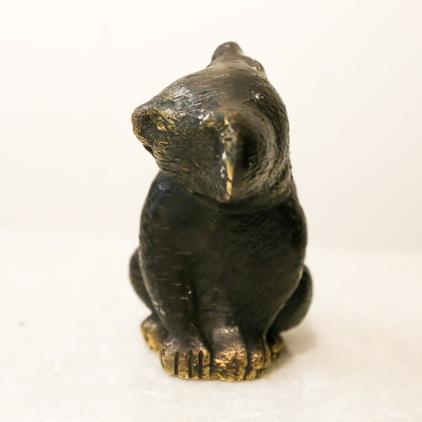 Bronze Koala