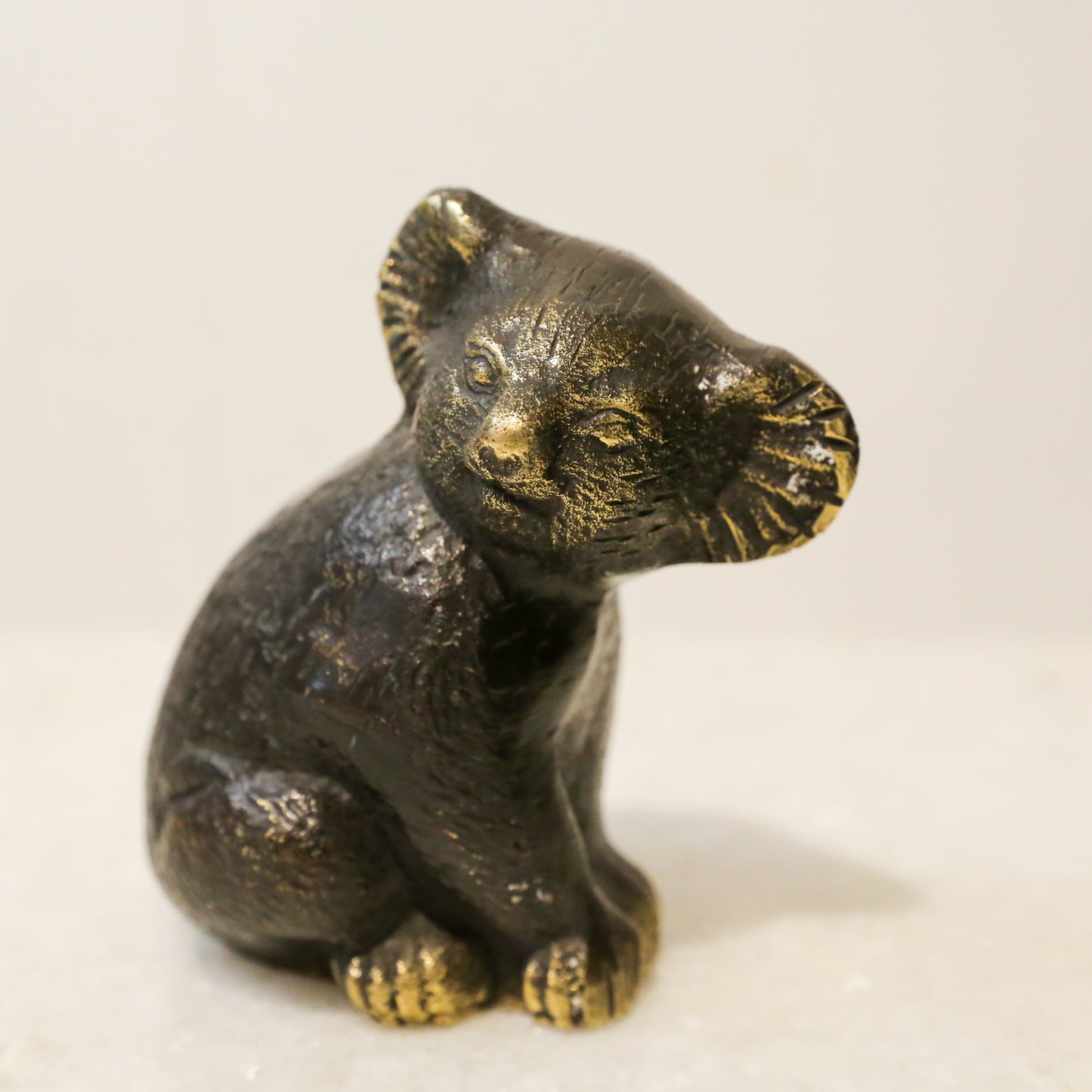 Bronze Koala
