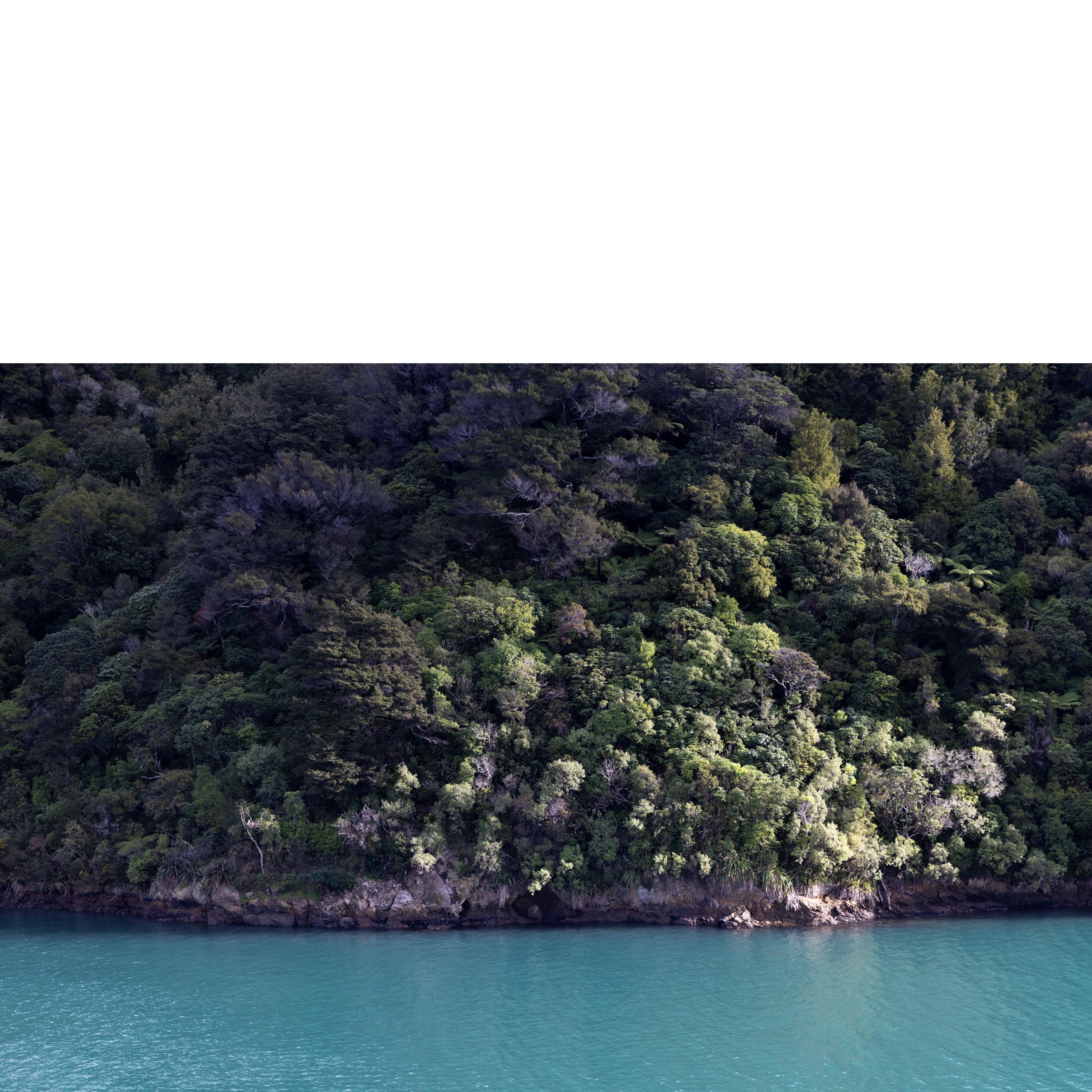 Marlborough Shoreline