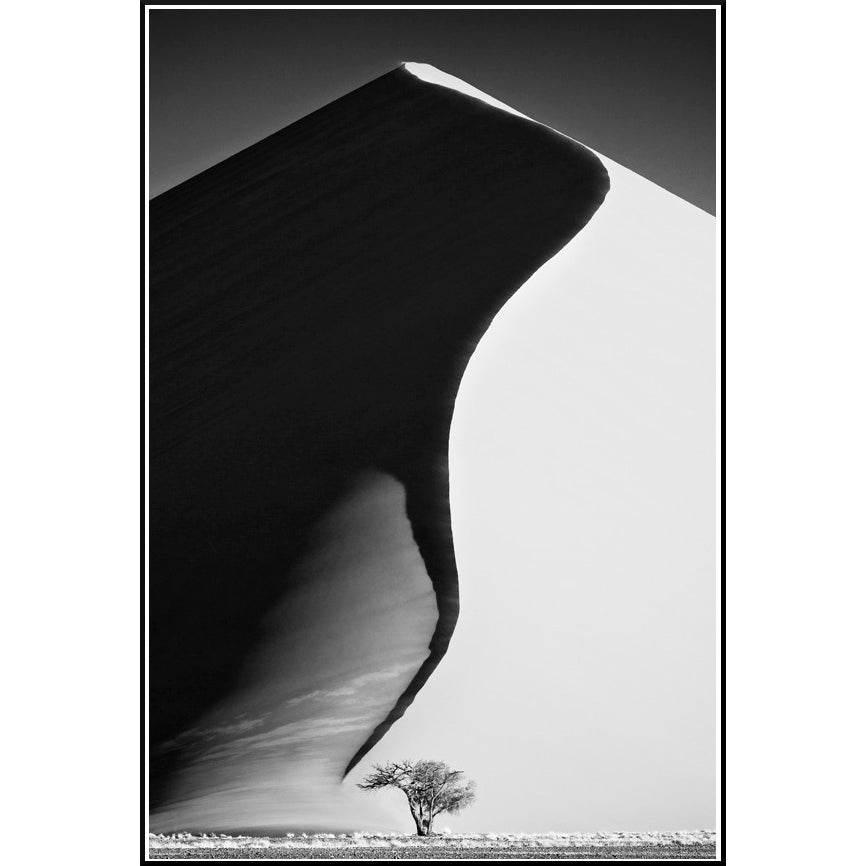Namib Dune