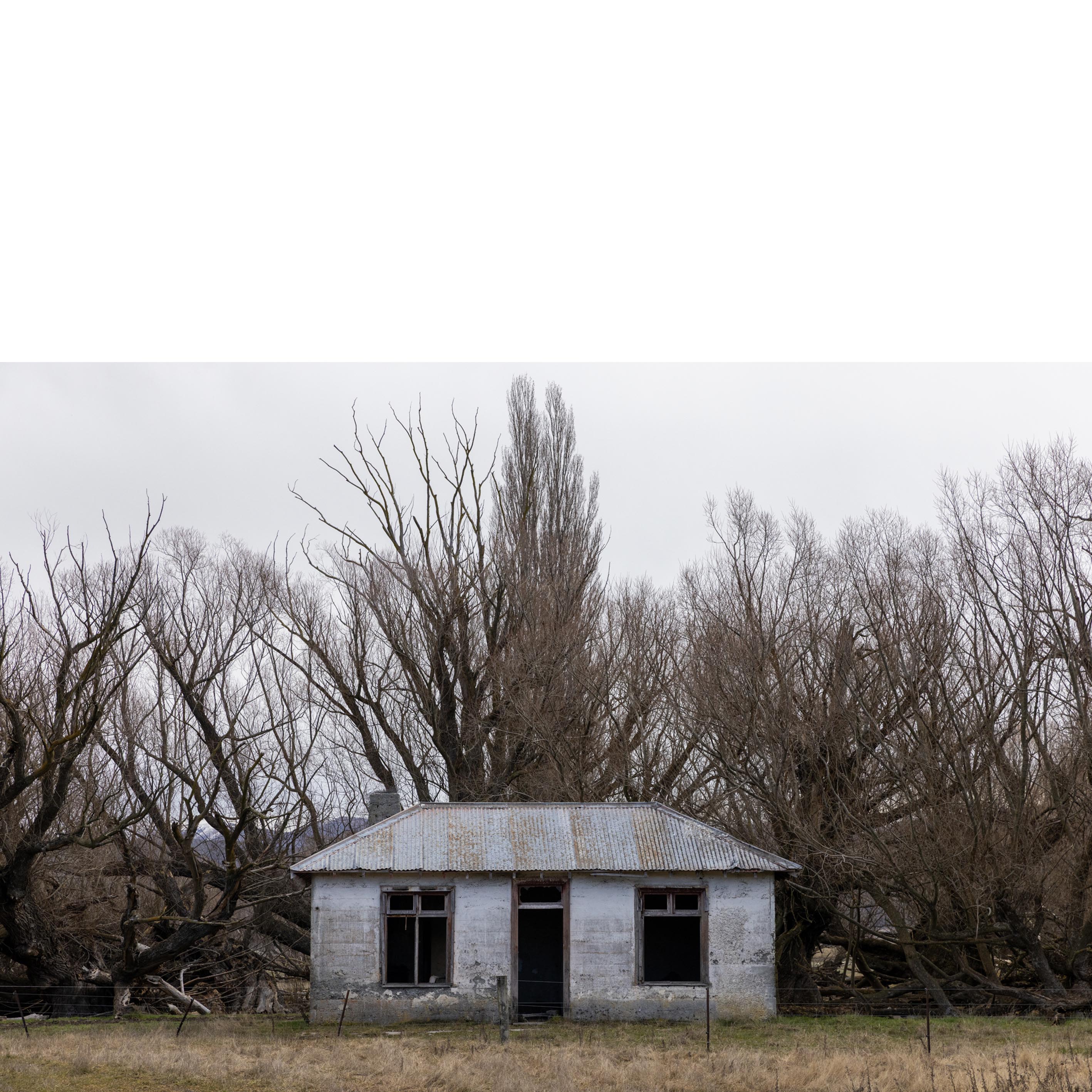 Musterers Hut #2