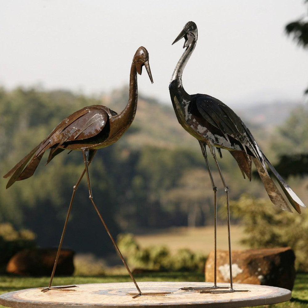 Birdwoods Wattled Cranes
