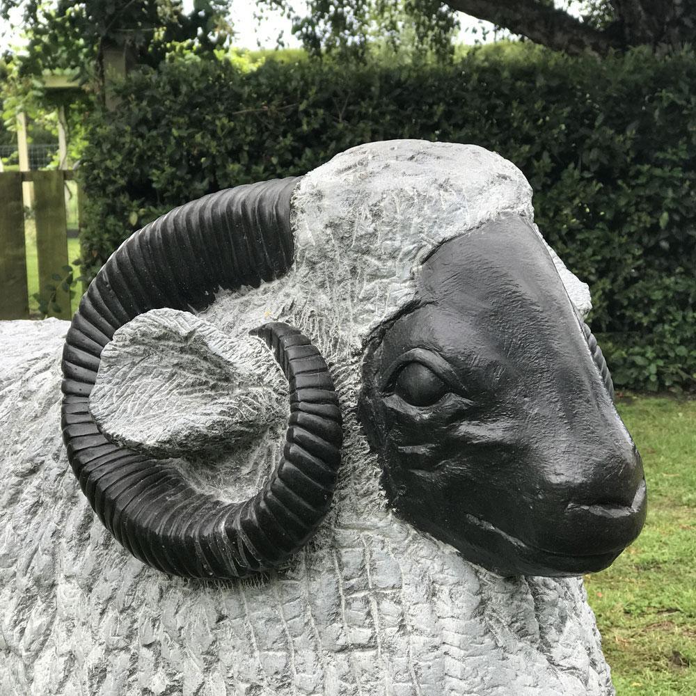 Merino Ram #1 P.O.A.