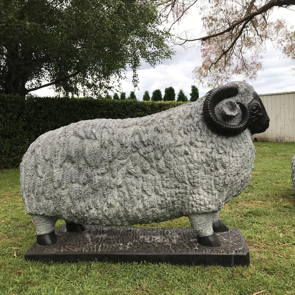 Merino Ram #1 P.O.A.
