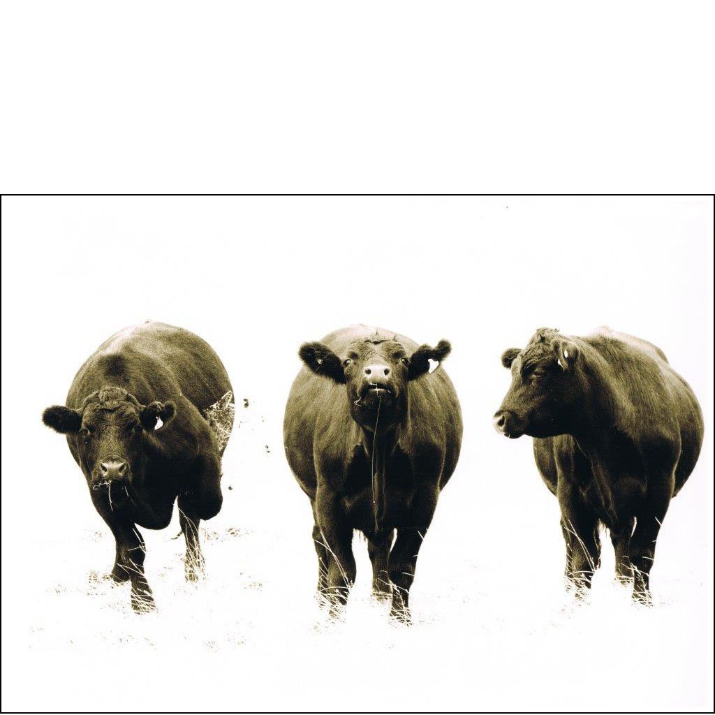 Triple Angus