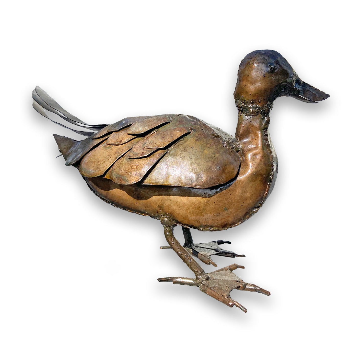 Birdwoods Duck