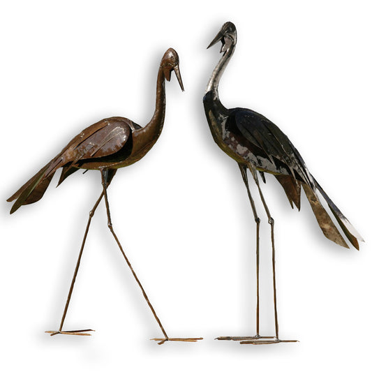 Birdwoods Wattled Cranes
