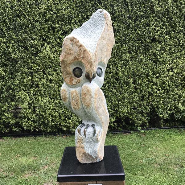 Wise Owl