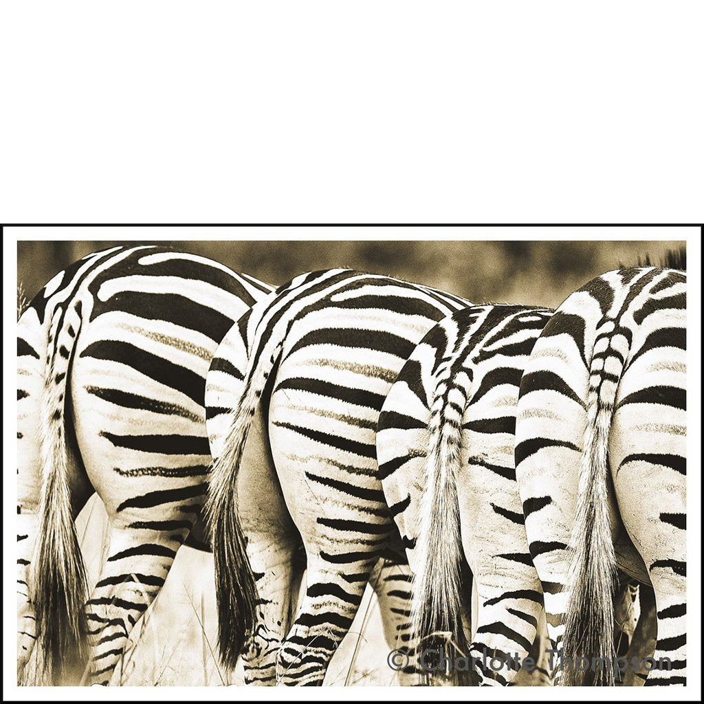 Zebra Bottoms