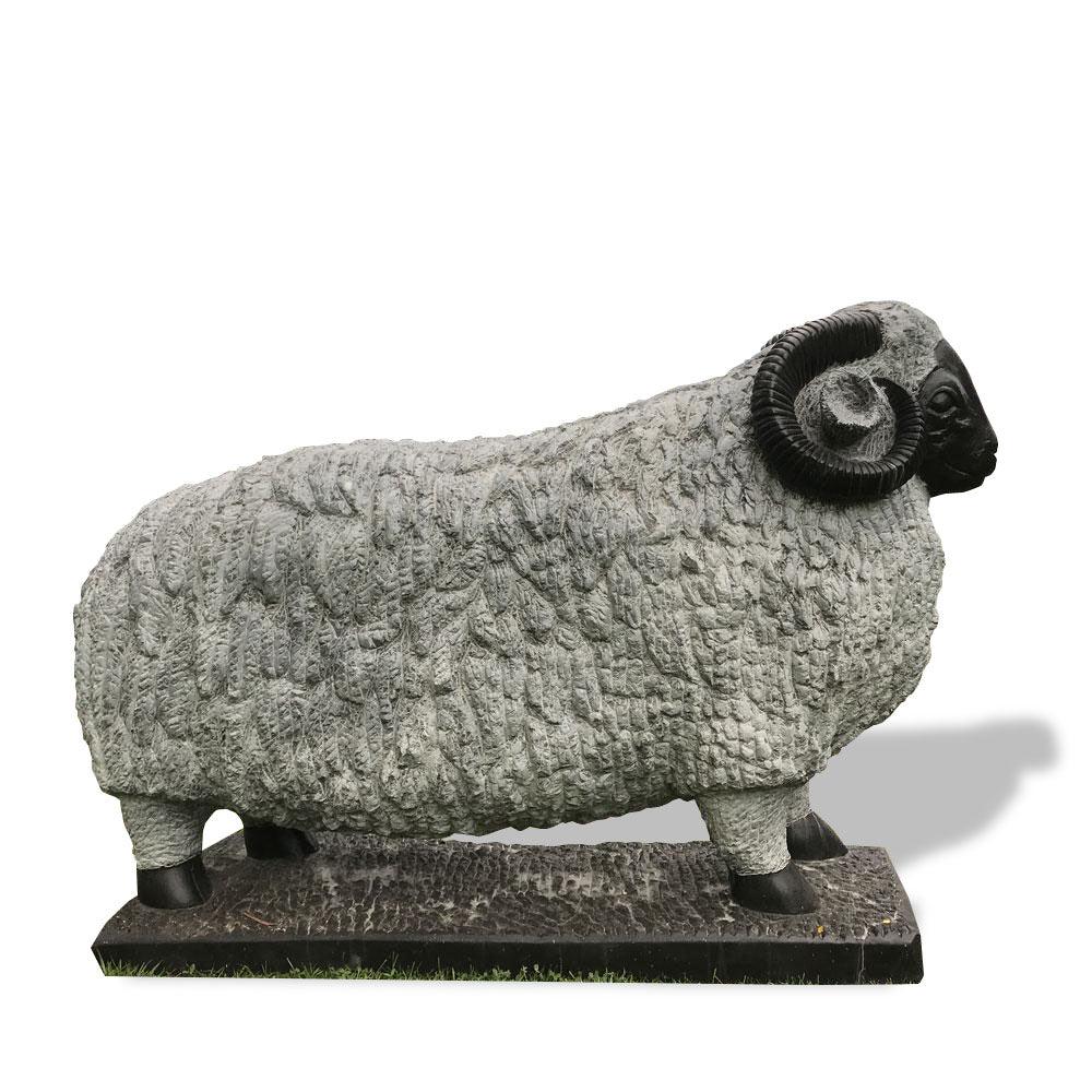 Merino Ram #1 P.O.A.