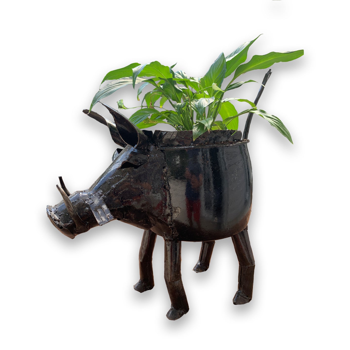Warthog Plant Pot