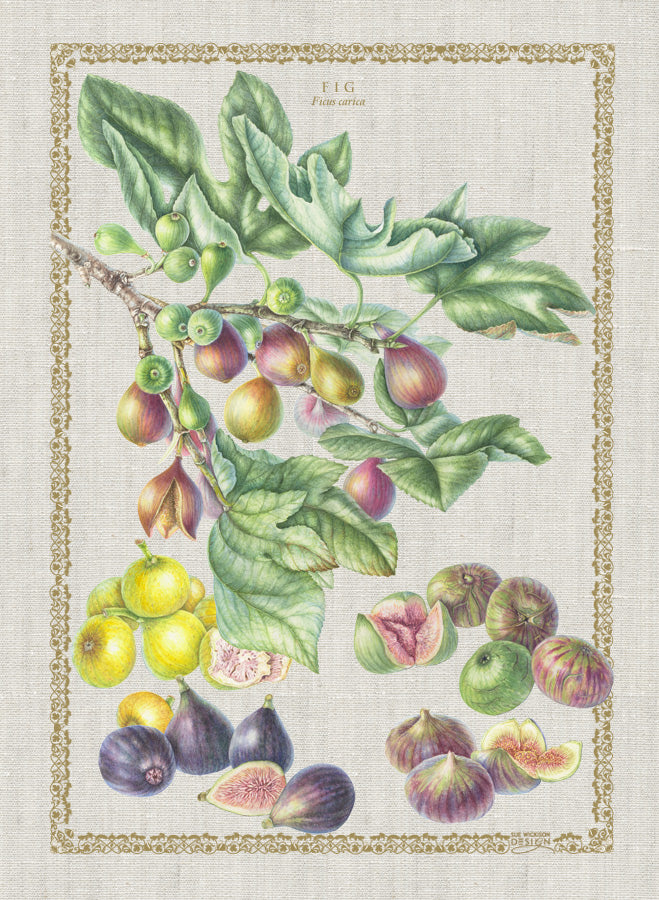 Sue Wickison Tea Towels