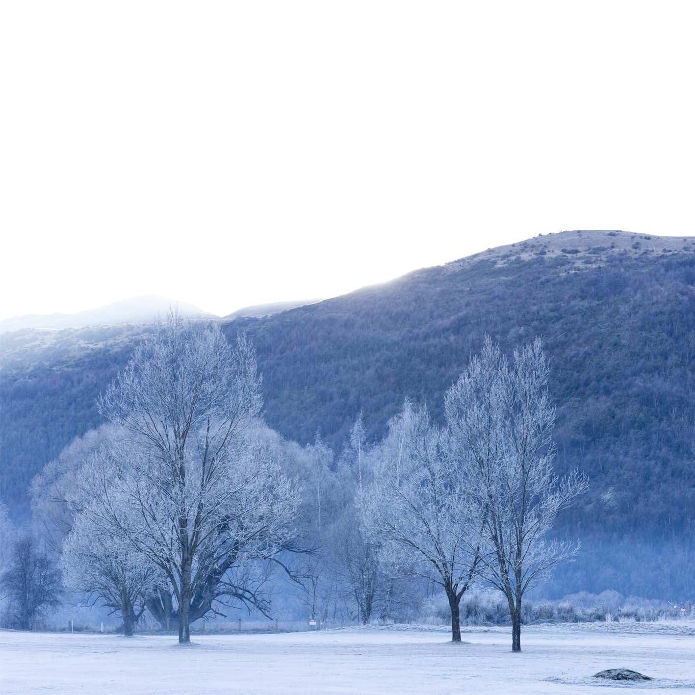 Arrowtown Winter