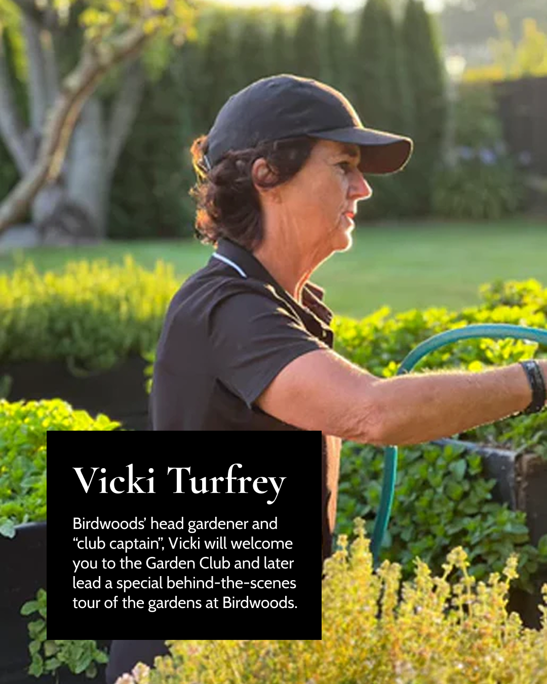 Birdwoods Garden Club Ticket - Christmas Edition