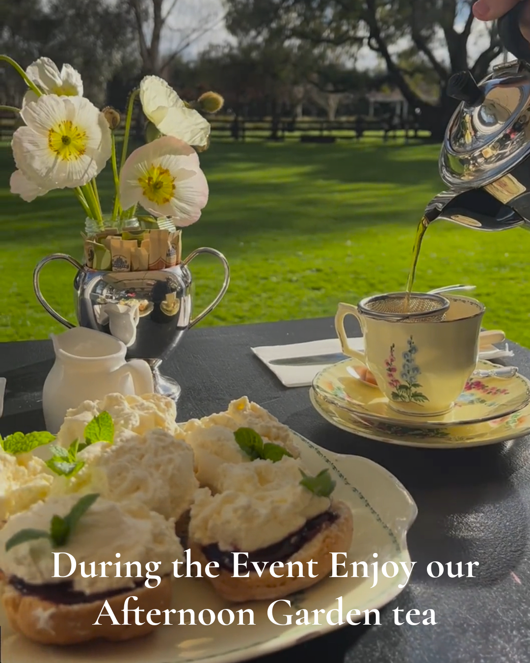 Birdwoods Garden Club Ticket - Christmas Edition