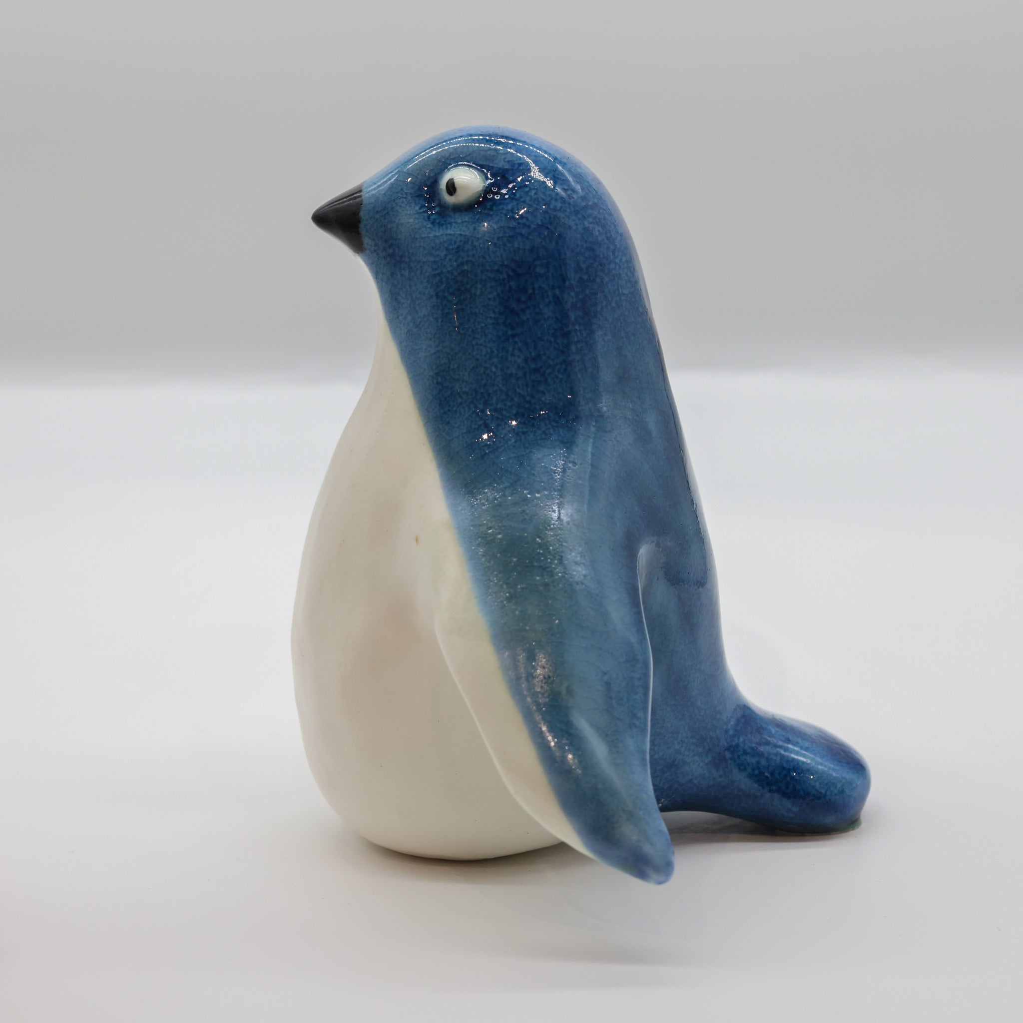 Kororā - Little Blue Penguin (Karl)