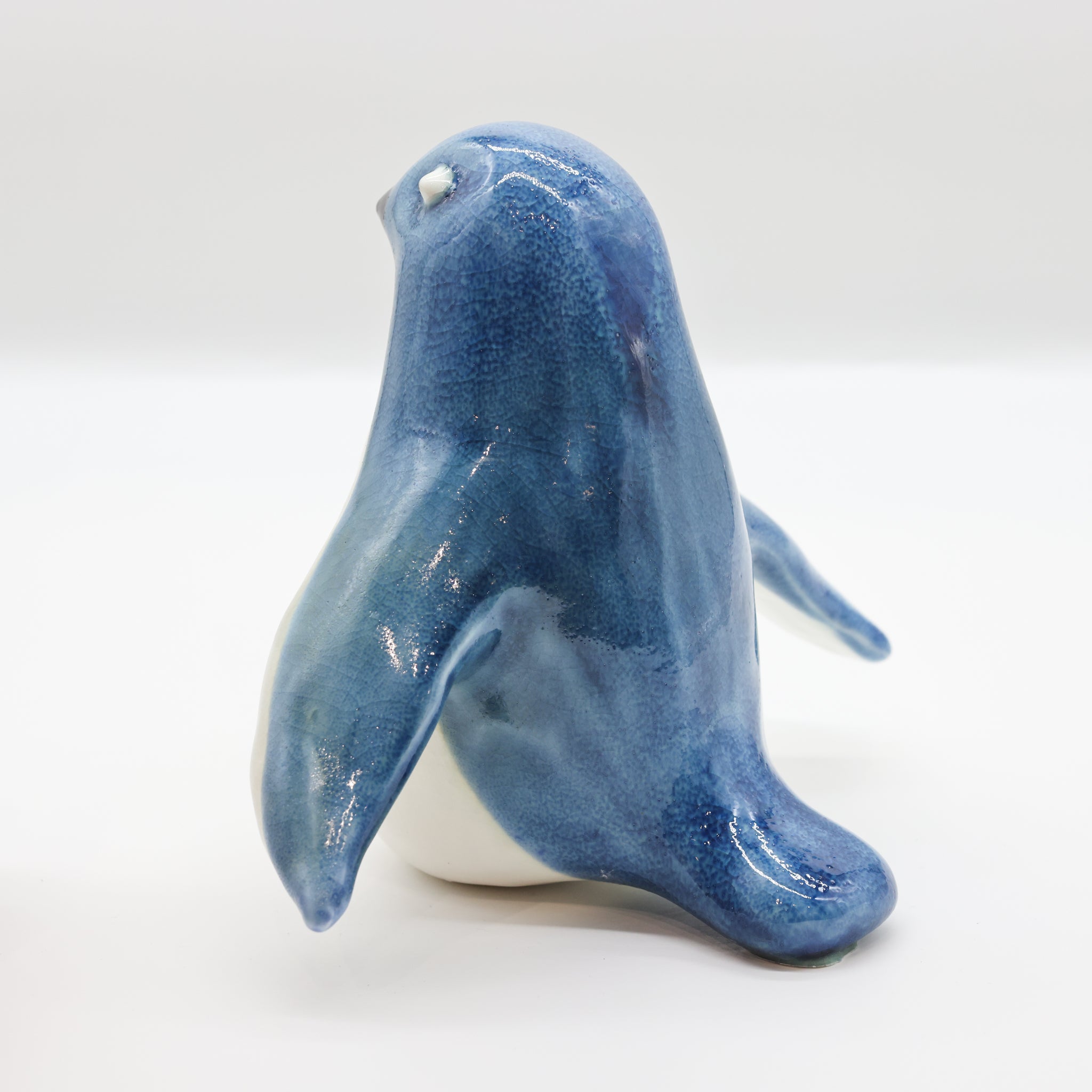 Kororā - Little Blue Penguin (Karl)