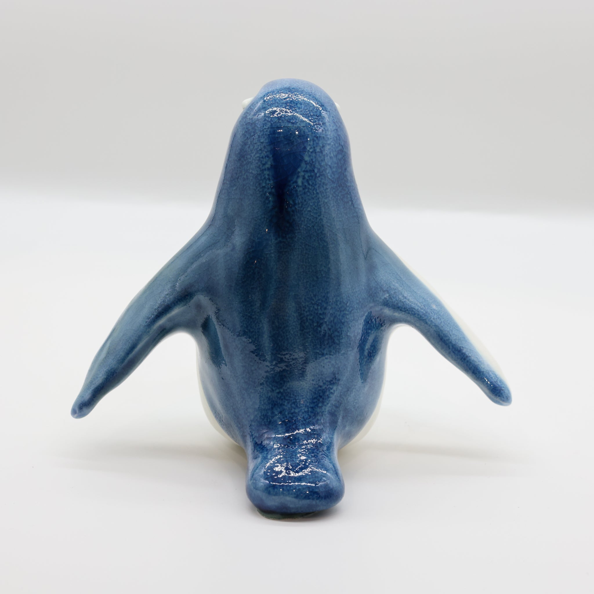 Kororā - Little Blue Penguin (Karl)