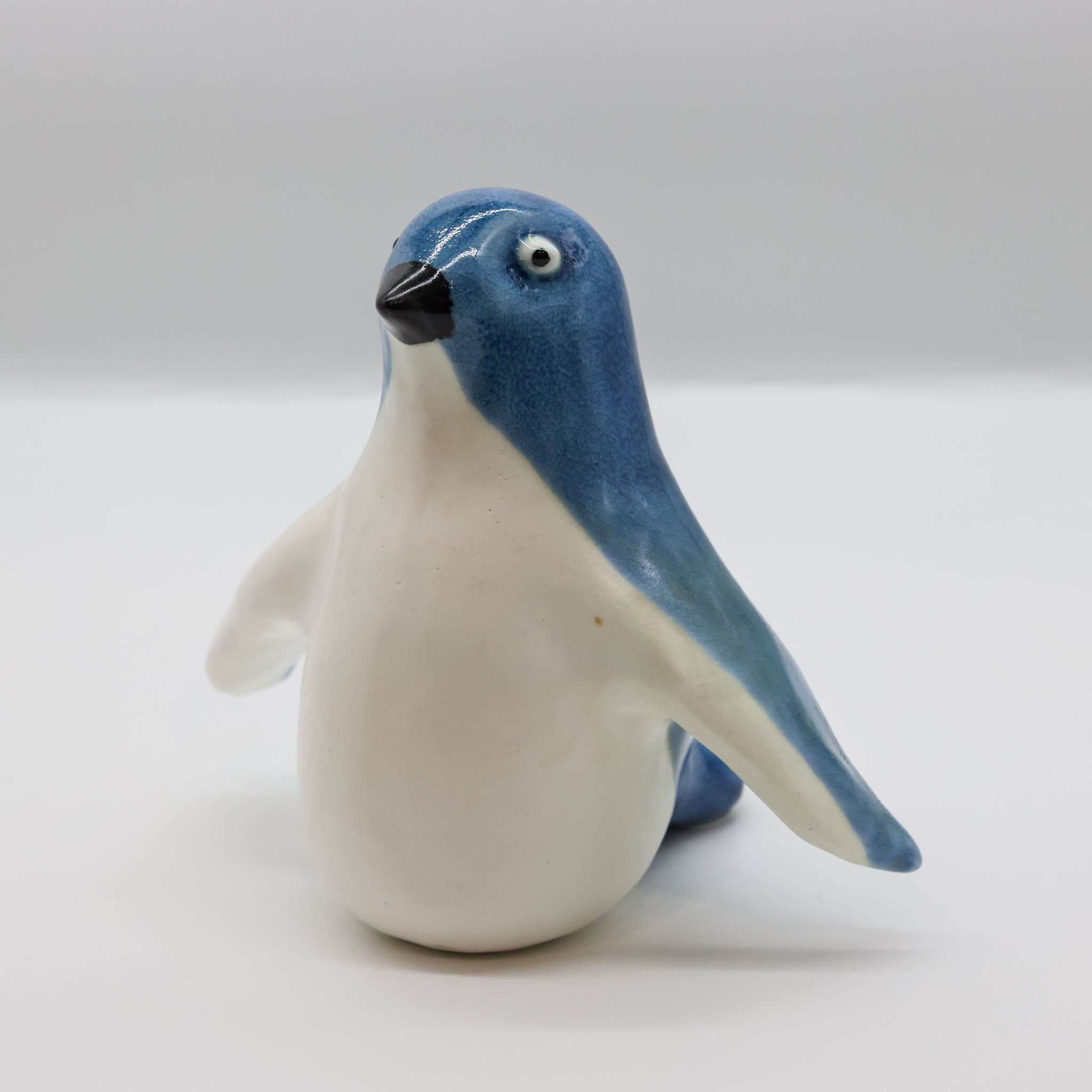 Kororā - Little Blue Penguin (Karl)