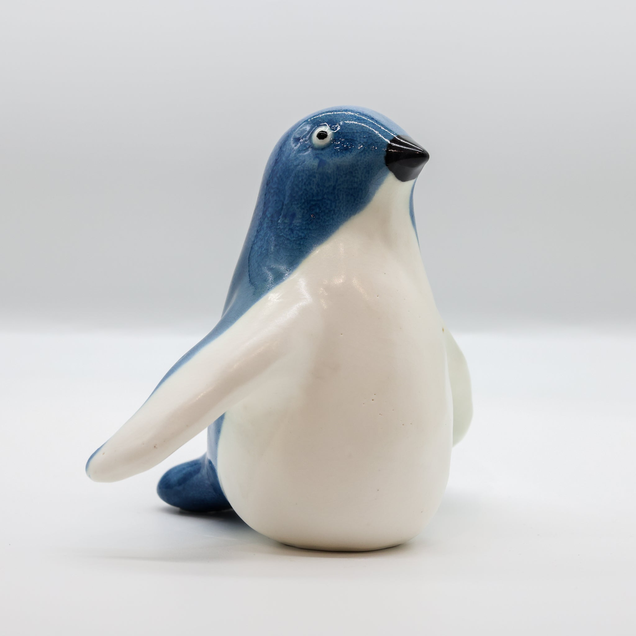 Kororā - Little Blue Penguin (Karl)