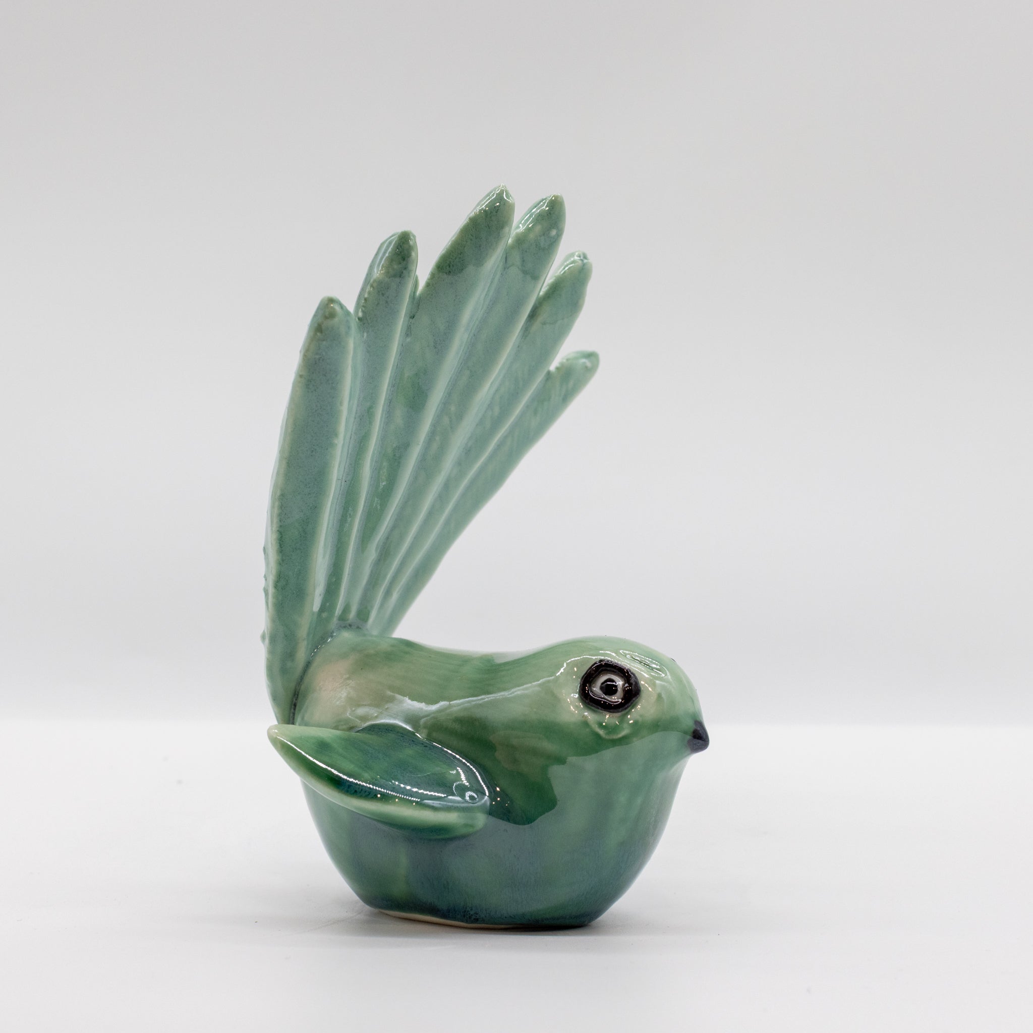 Pīwakawaka - Fantail