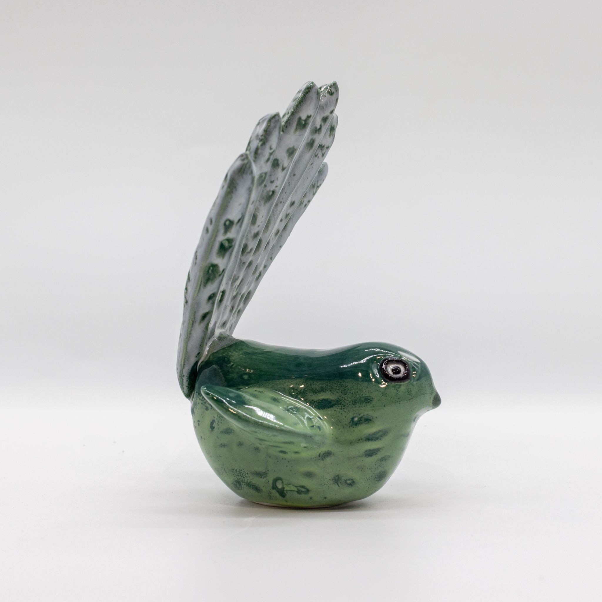 Pīwakawaka - Fantail