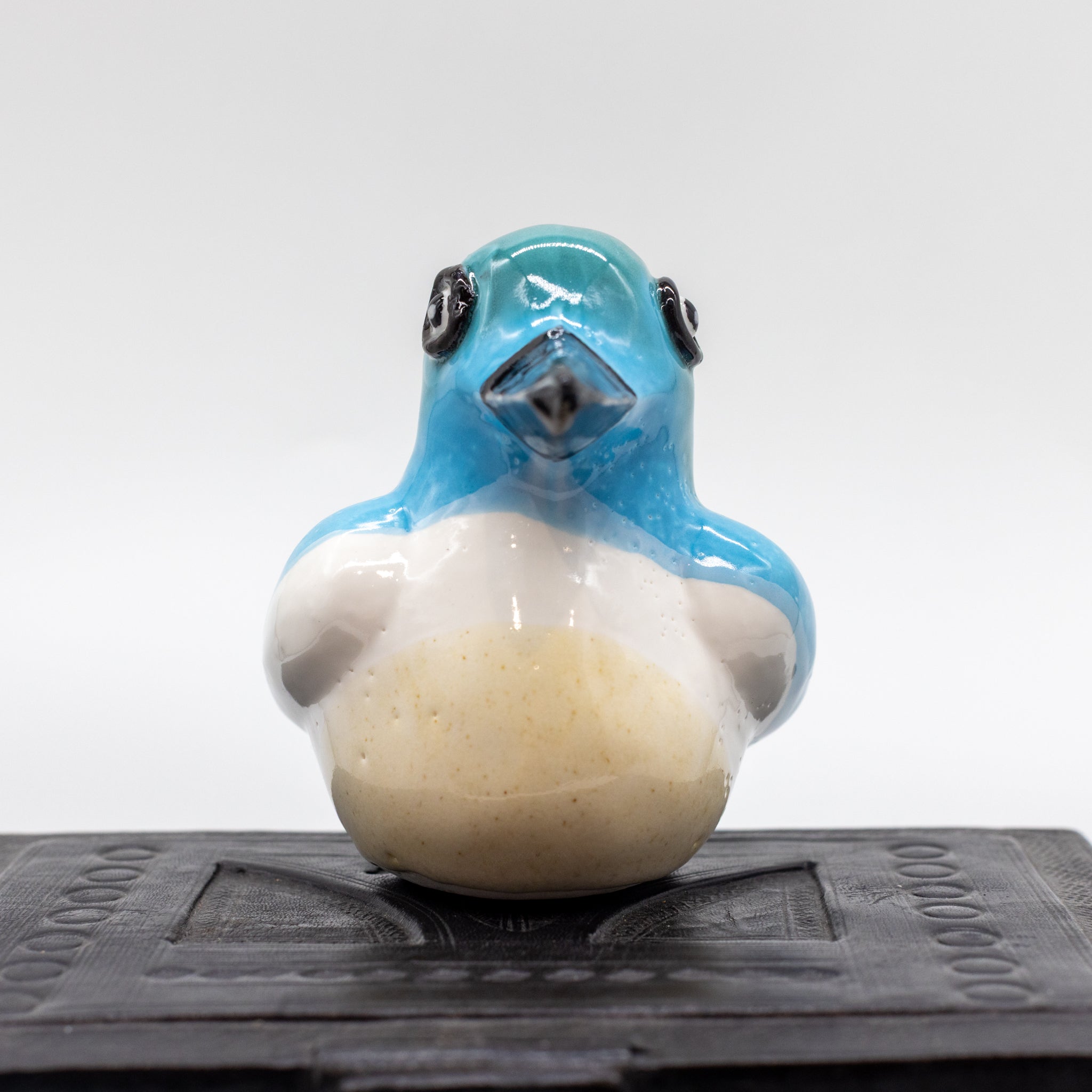 Kōtare | Kingfisher