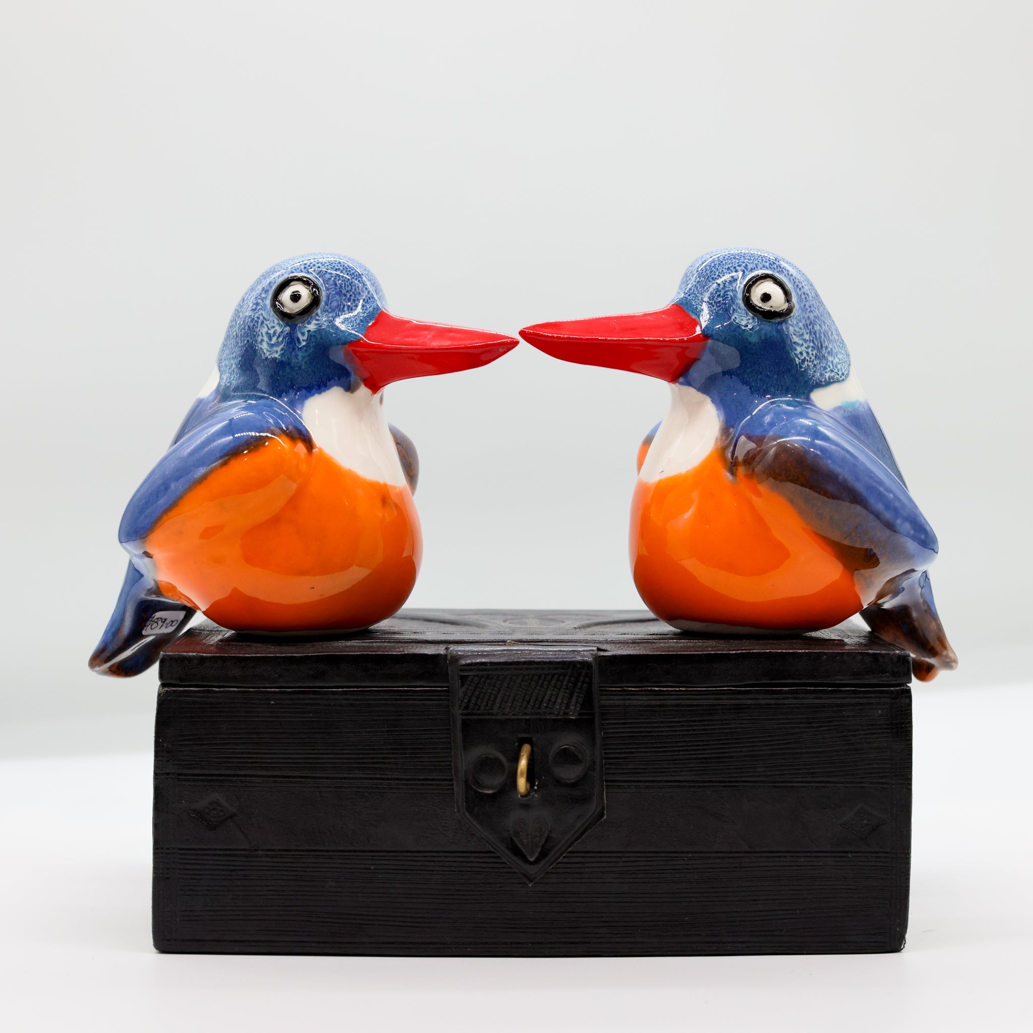 Malachite Kingfisher