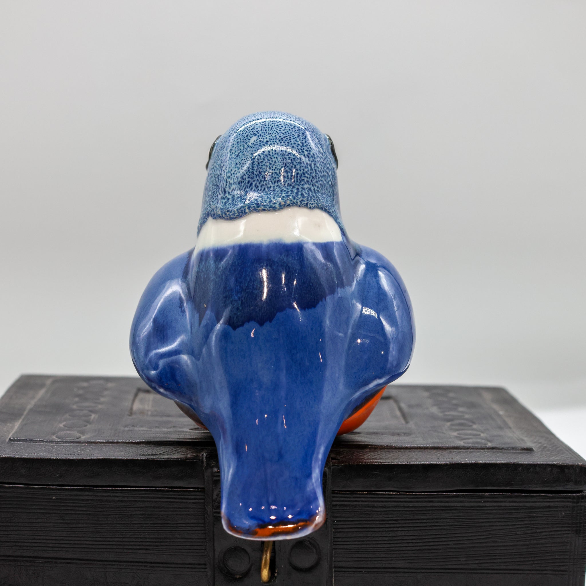 Malachite Kingfisher