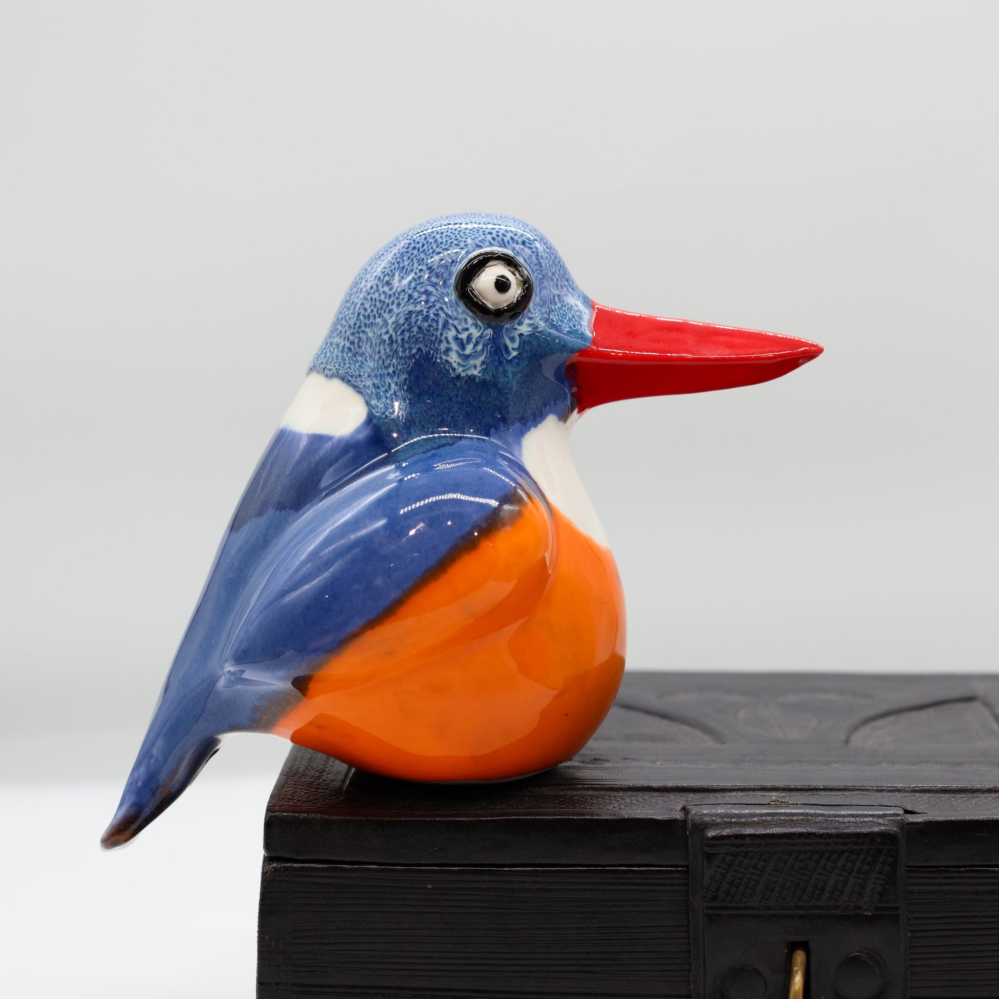 Malachite Kingfisher