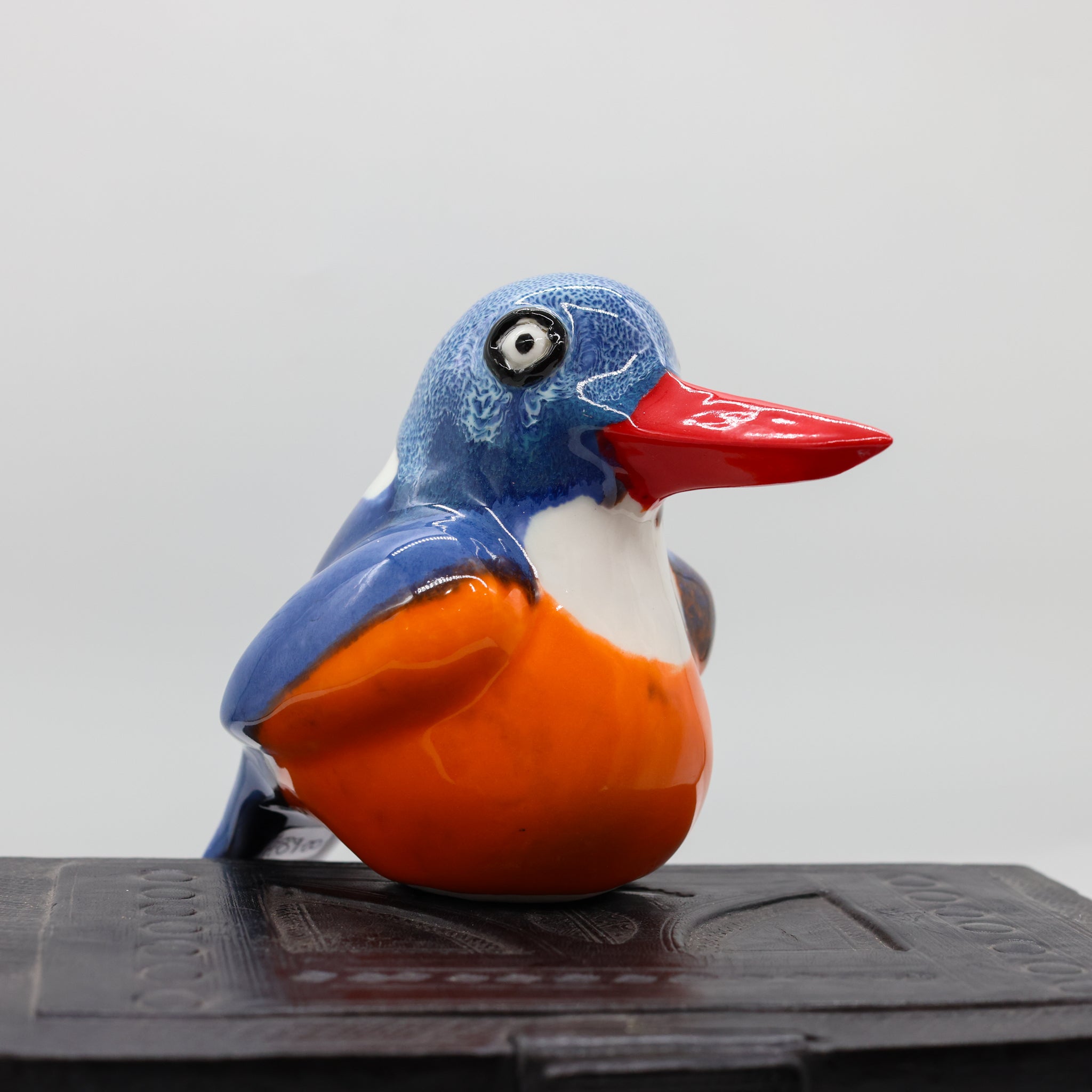 Malachite Kingfisher