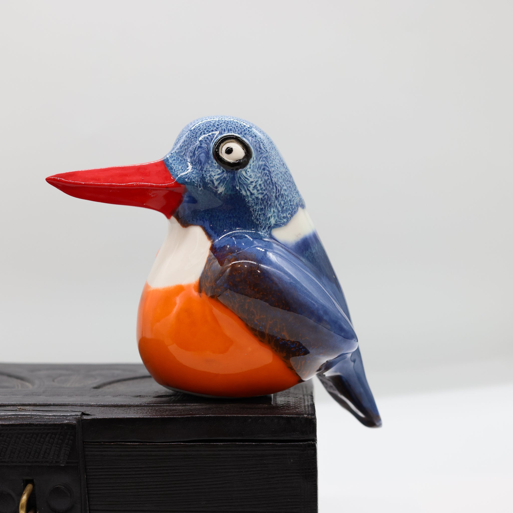 Malachite Kingfisher