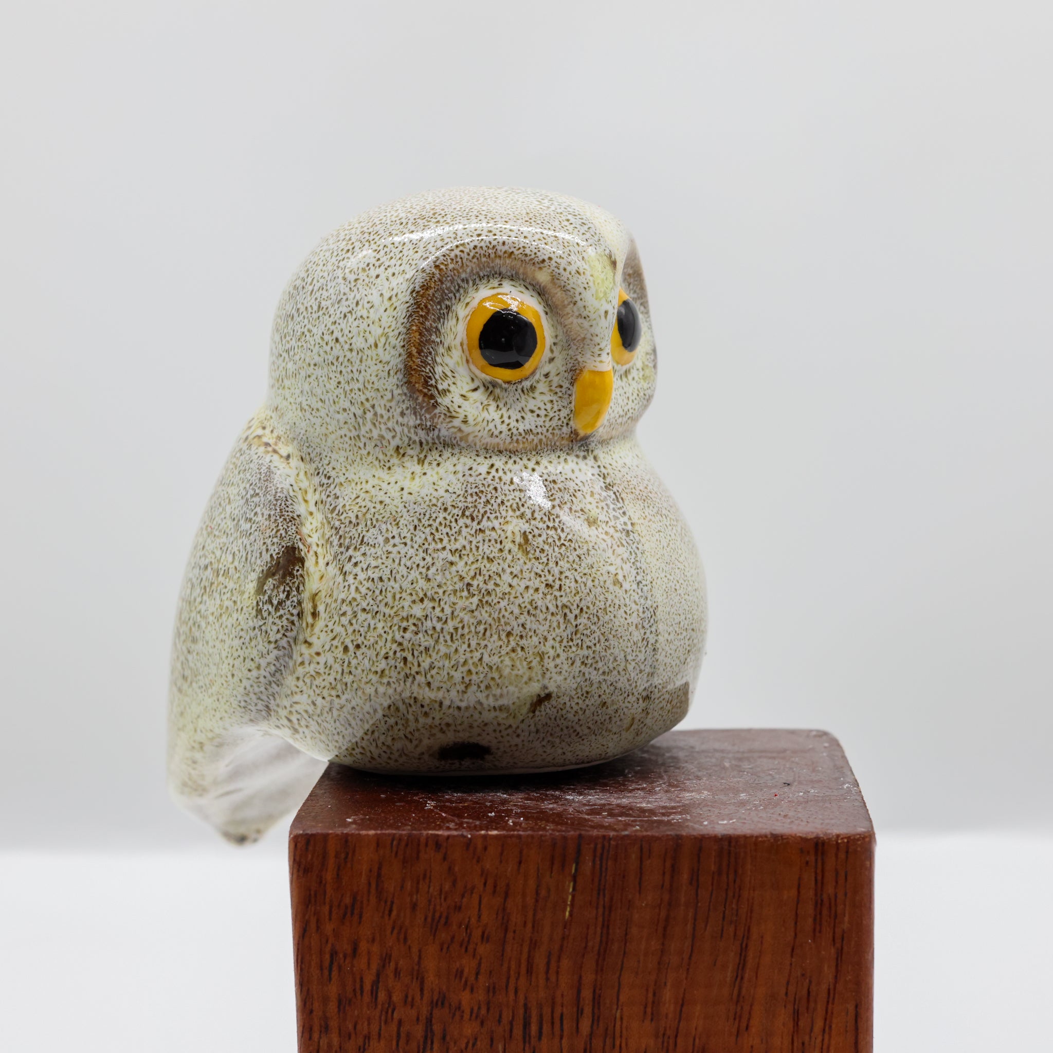 Ruru | Morepork