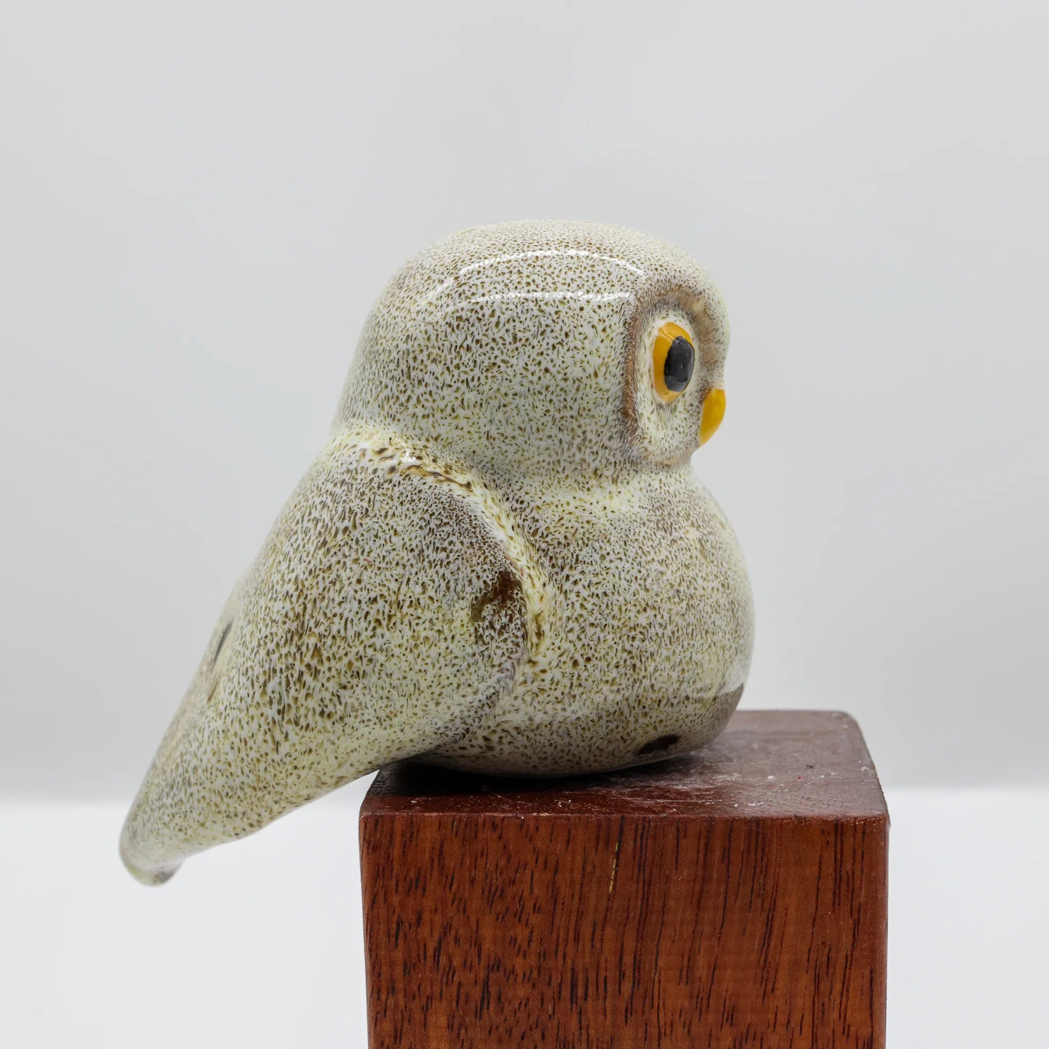 More Pork Ruru Ruru | Morepork – Birdwoods Gallery