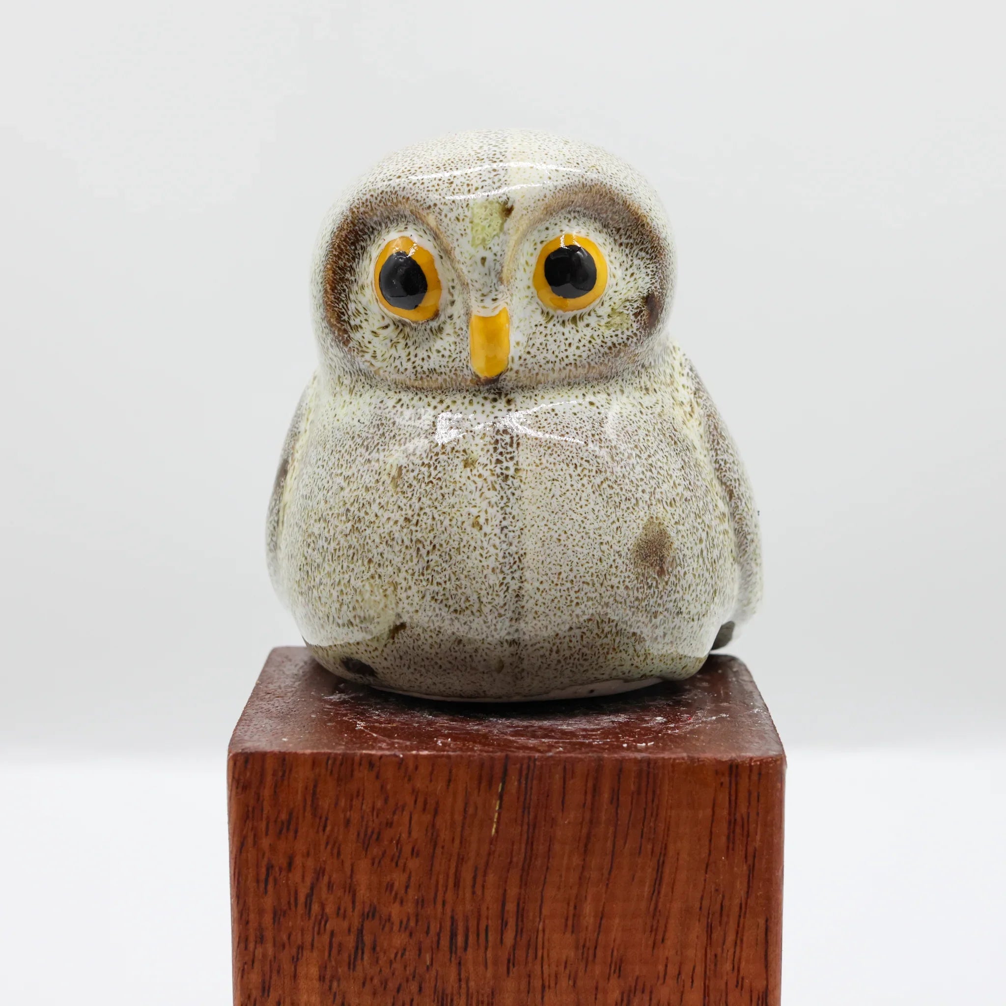 More Pork Ruru Ruru | Morepork – Birdwoods Gallery