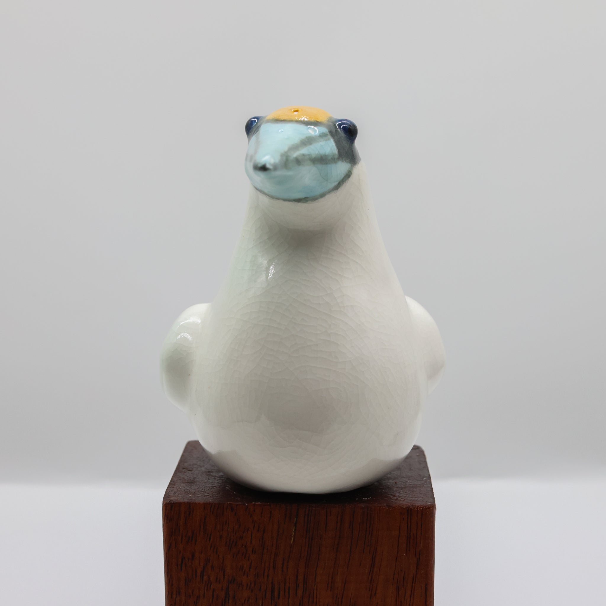 Tākapu | Australasian Gannet