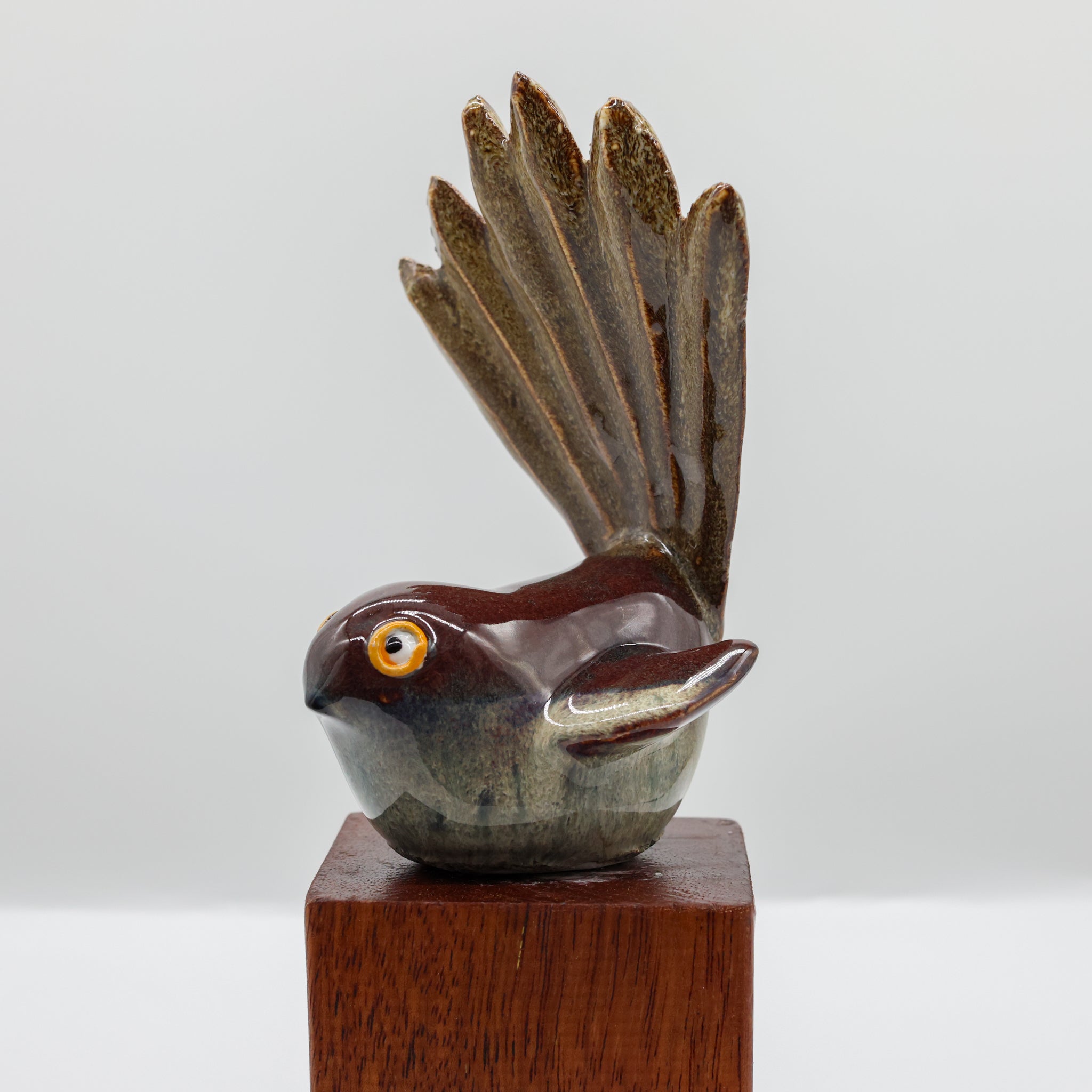 Pīwakawaka | Fantail