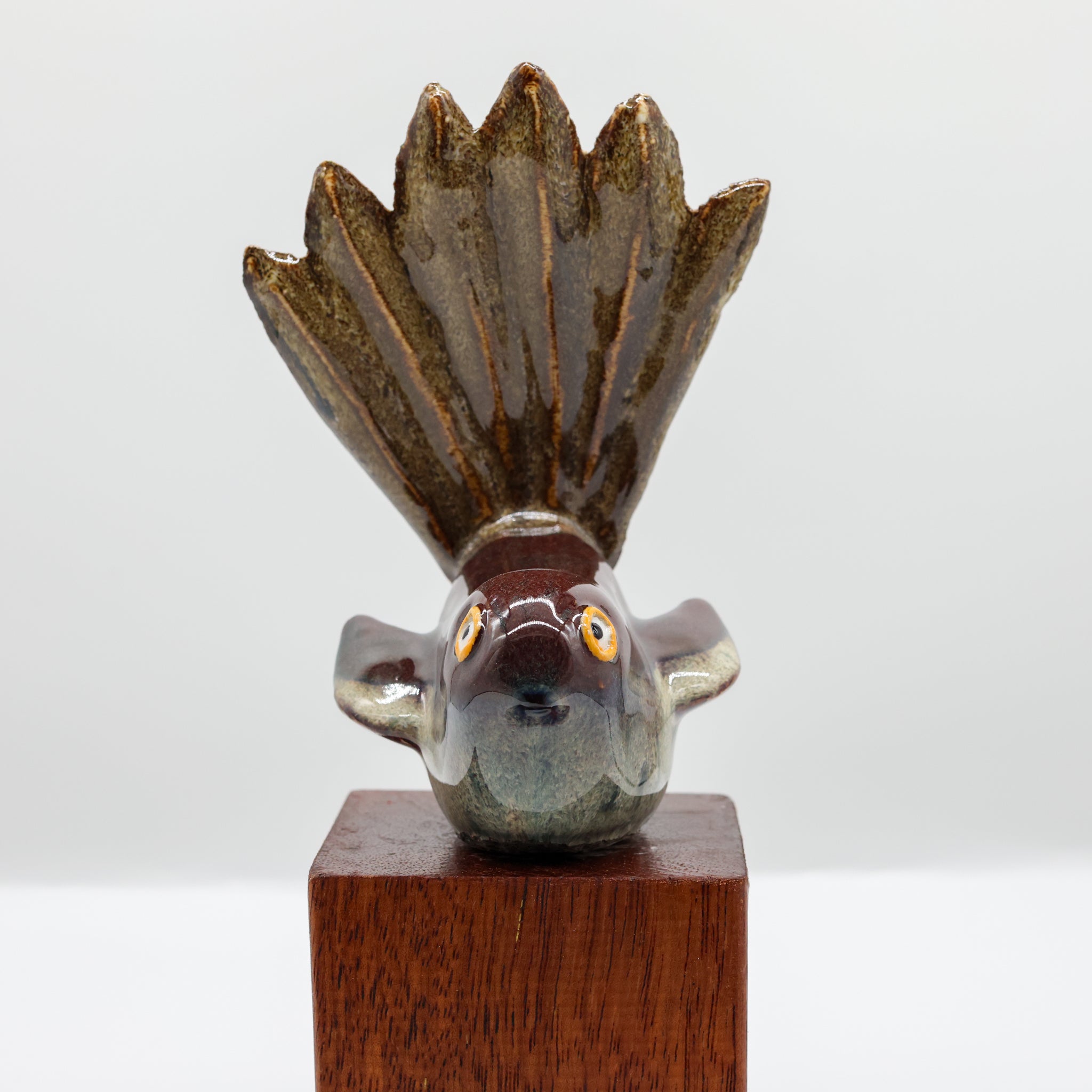 Pīwakawaka | Fantail