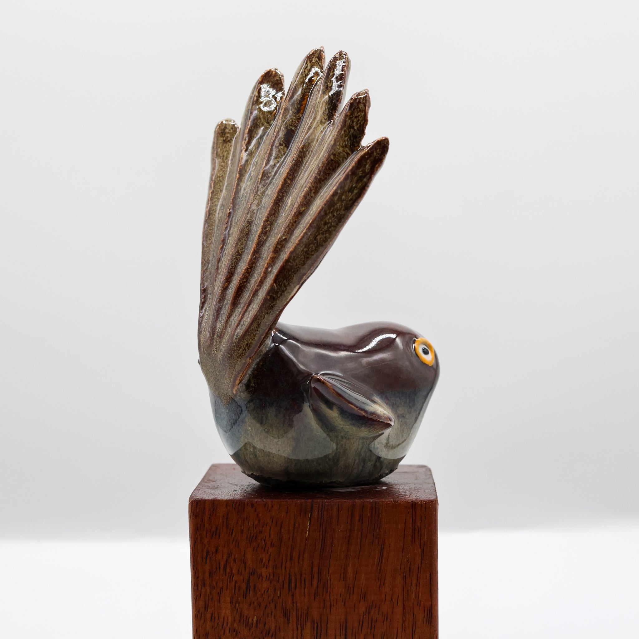 Pīwakawaka | Fantail