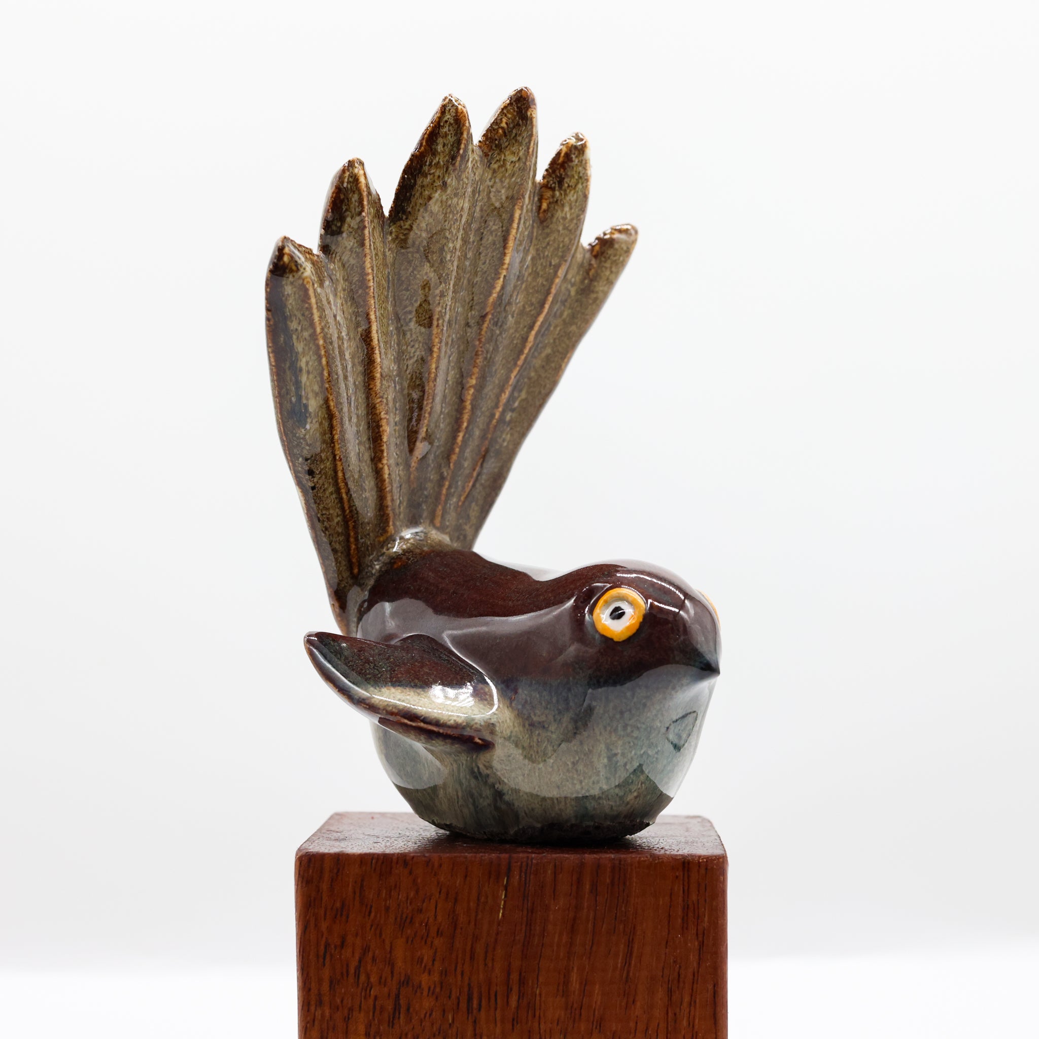 Pīwakawaka | Fantail